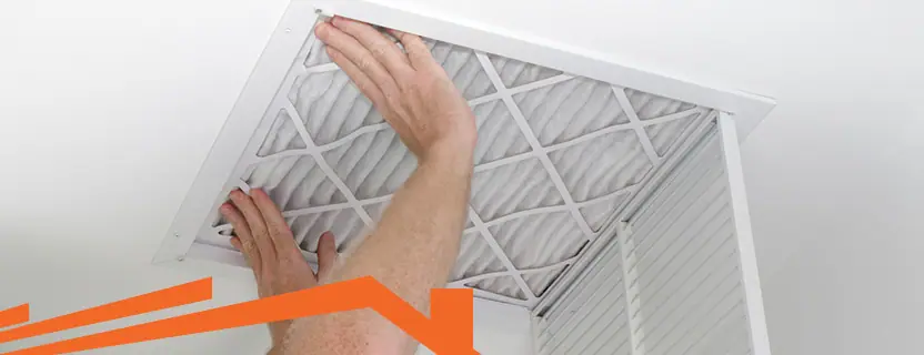 How to Choose the Best Air Purifier for Your Home